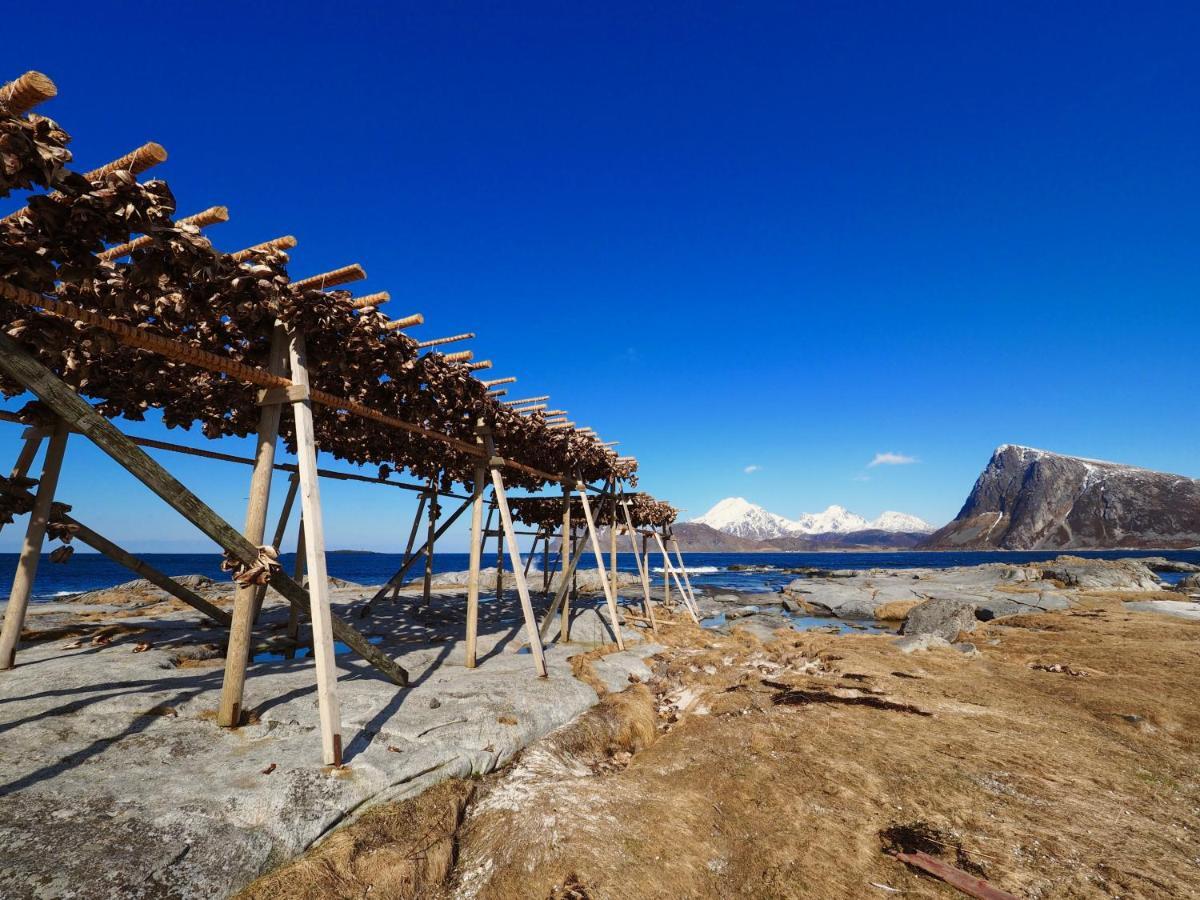 Lofoten Troll Point Bostad Exterior foto